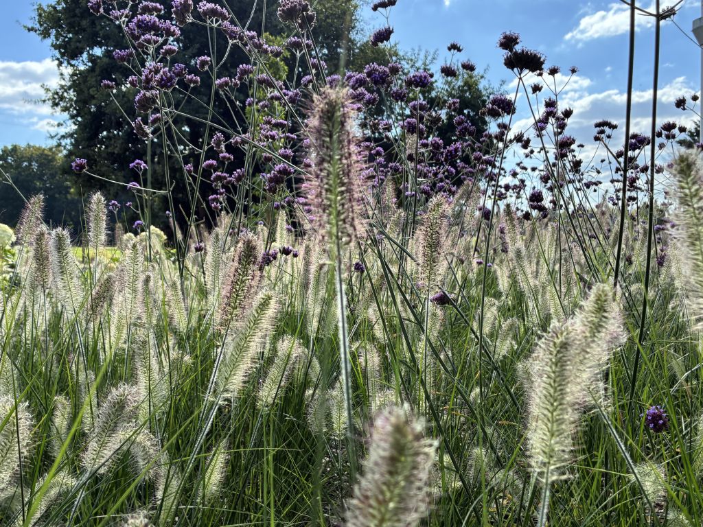 Uw aandacht gevraagd