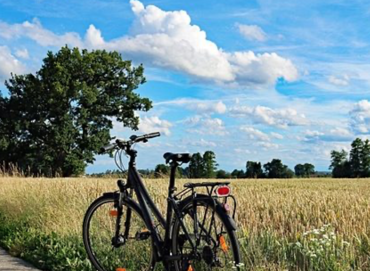 Schermafbeelding 2025-07-23 om 08.56.46