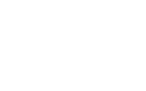 Webportal Wulpenveen